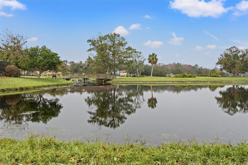 Picture of 4412 Lake In The Woods Drive, Spring Hill FL 34607