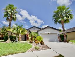 Picture of 8424 Bluevine Sky Drive, Land O Lakes, FL 34637