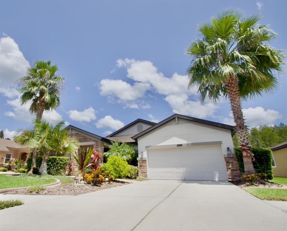 Picture of 8424 Bluevine Sky Drive, Land O Lakes, FL 34637