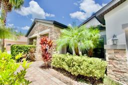 Picture of 8424 Bluevine Sky Drive, Land O Lakes, FL 34637