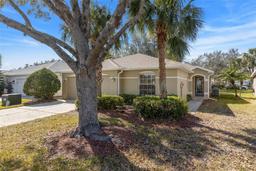 Picture of 10833 Collar Drive, San Antonio, FL 33576