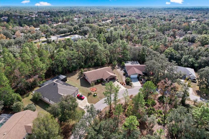 Picture of 22 Salvia Court, Homosassa FL 34446