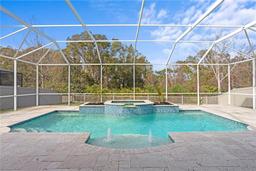 Picture of 28475 Marsciano Lane, Wesley Chapel, FL 33543