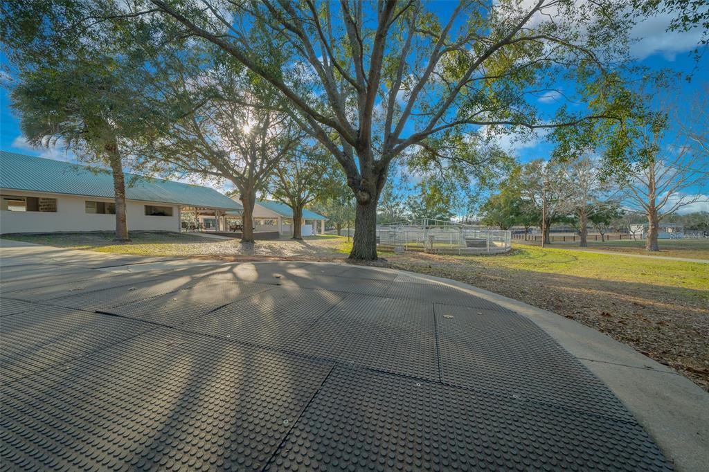 Picture of 16921 SE 19Th Court, Summerfield, FL 34491