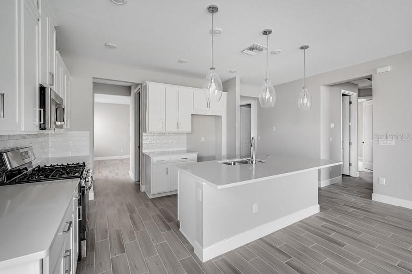 Picture of 2061 Longliner Loop, Wesley Chapel FL 33543