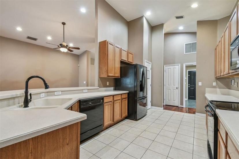 Picture of 6944 Runner Oak Drive, Wesley Chapel FL 33545