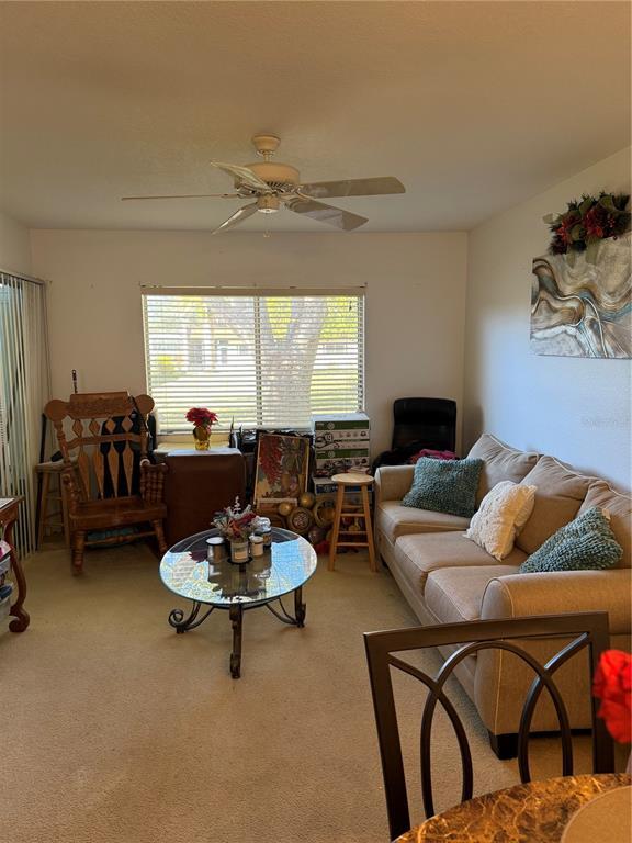 Picture of 3115 Mission Grove Drive, Palm Harbor FL 34684