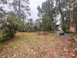 Picture of 407 NE 19Th Drive, Gainesville, FL 32641