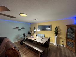 Picture of 1017 Willow Drive, Leesburg, FL 34748