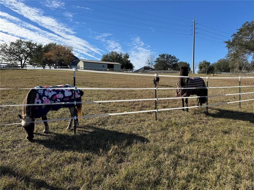 Picture of 17901 Coralwood Lane, Groveland FL 34736
