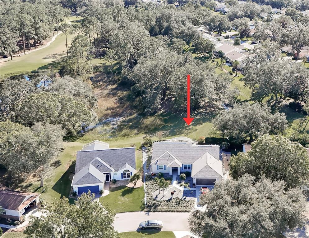 Picture of 3923 Manor Oaks Court, Leesburg, FL 34748