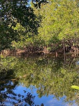 Picture of 24362 Yacht Club Blvd, Punta Gorda, FL 33955