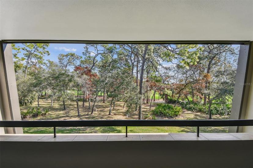 Picture of 36750 Us Highway 19 Unit 24209, Palm Harbor FL 34684