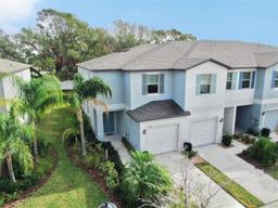 Picture of 3818 Cat Mint Street, Tampa, FL 33619