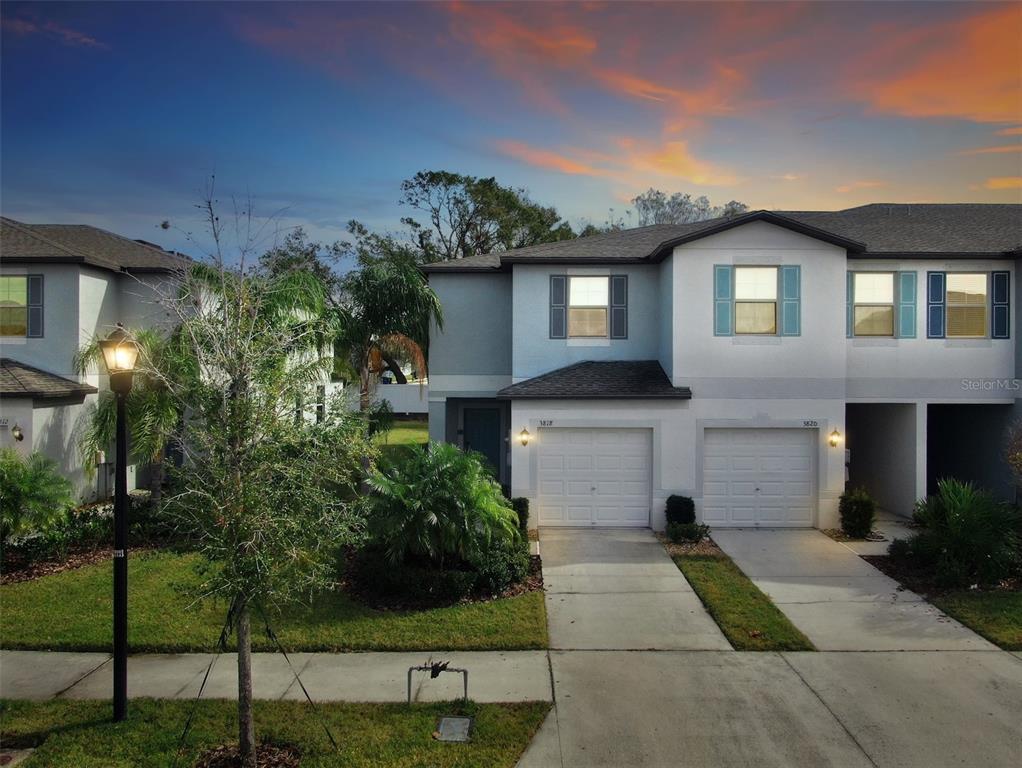 Picture of 3818 Cat Mint Street, Tampa, FL 33619