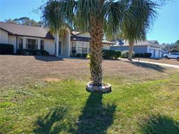 Picture of 19950 Ibis Court, Dunnellon, FL 34432