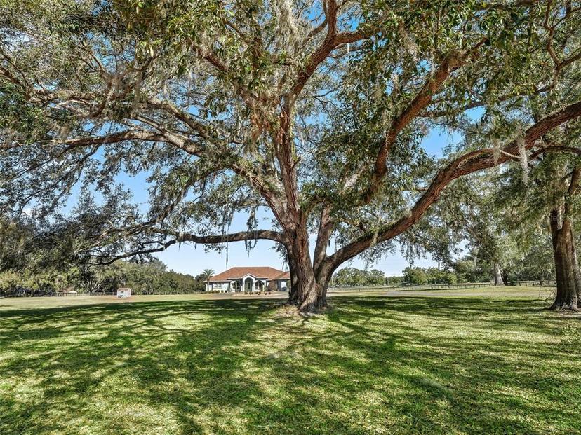 Picture of 19351 E Levy Street, Williston FL 32696