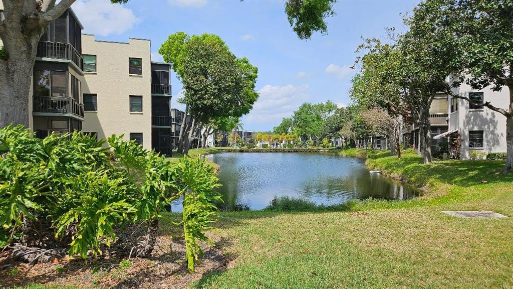 Picture of 5975 Terrace Park Drive N Unit 102, St Petersburg, FL 33709