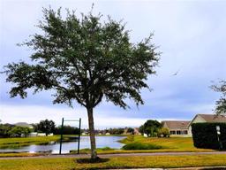 Picture of 2912 Sweetspire Cir, Kissimmee, FL 34746