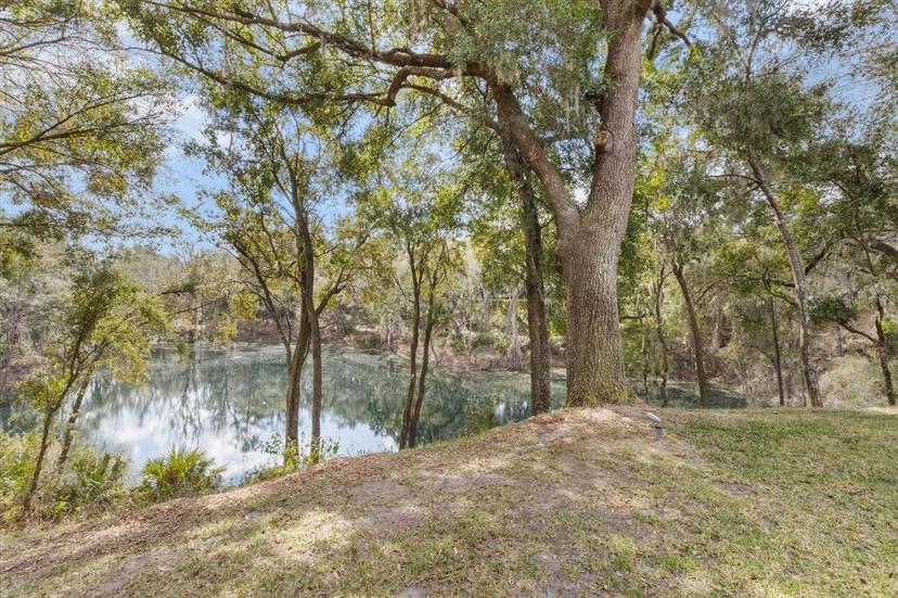 Picture of 3188 N Chandler Drive, Hernando FL 34442