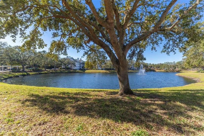 Picture of 3300 Haviland Court Unit 303, Palm Harbor FL 34684