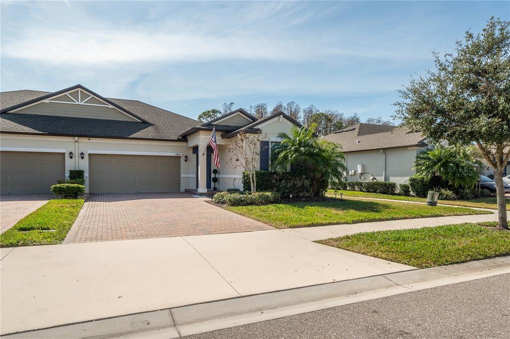 Picture of 16866 Balance Cove, Land O Lakes, FL 34638