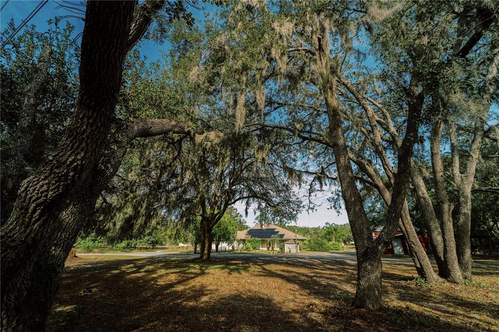 Picture of 4999 Disston Drive, St Cloud, FL 34771