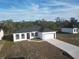 Picture of 1321 Congo Drive, Kissimmee, FL 34759