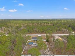 Picture of 13094 Tailorbird Avenue, Brooksville, FL 34614