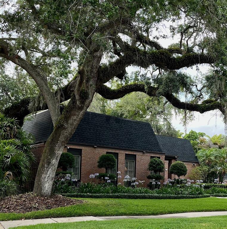 Picture of 807 Grove Park Avenue, Tampa FL 33609