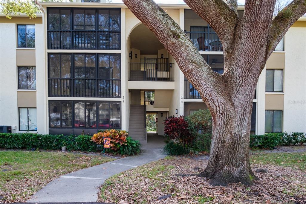Picture of 1398 Shady Pine Way Unit E3, Tarpon Springs, FL 34688