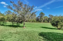 Picture of 3138 Dark Sky Drive, St Cloud, FL 34773
