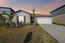 Picture of 22103 Blazing Star Run, Land O Lakes, FL 34637