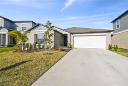 Picture of 22103 Blazing Star Run, Land O Lakes, FL 34637