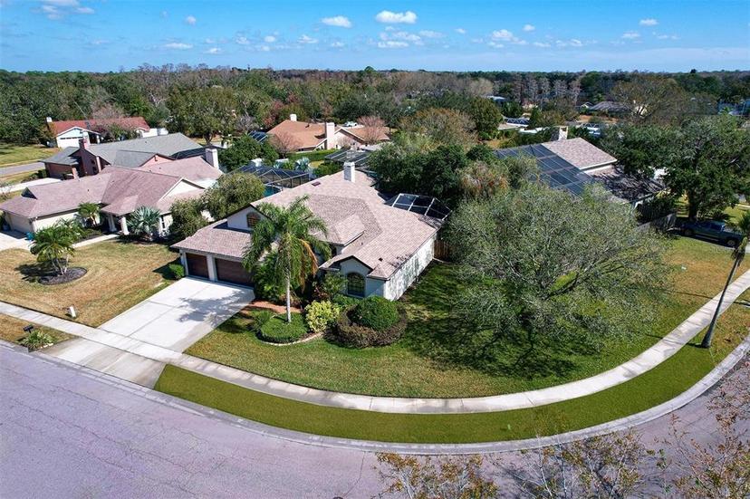 Picture of 335 Palmdale Drive, Oldsmar FL 34677