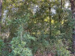 Picture of 3537 SW 106 Street, Gainesville, FL 32608