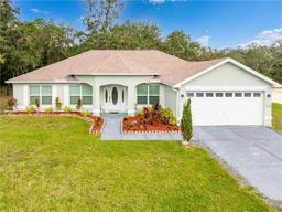 Picture of 11421 Petrel Avenue, Weeki Wachee, FL 34614