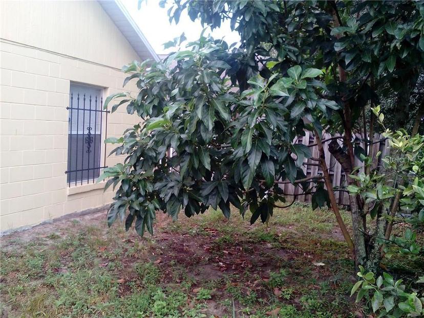 Picture of 5633 Piney Ridge Drive, Orlando FL 32808