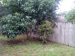 Picture of 5633 Piney Ridge Drive, Orlando, FL 32808