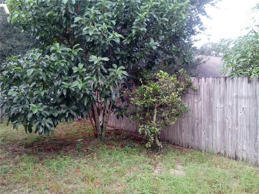 Picture of 5633 Piney Ridge Drive, Orlando FL 32808