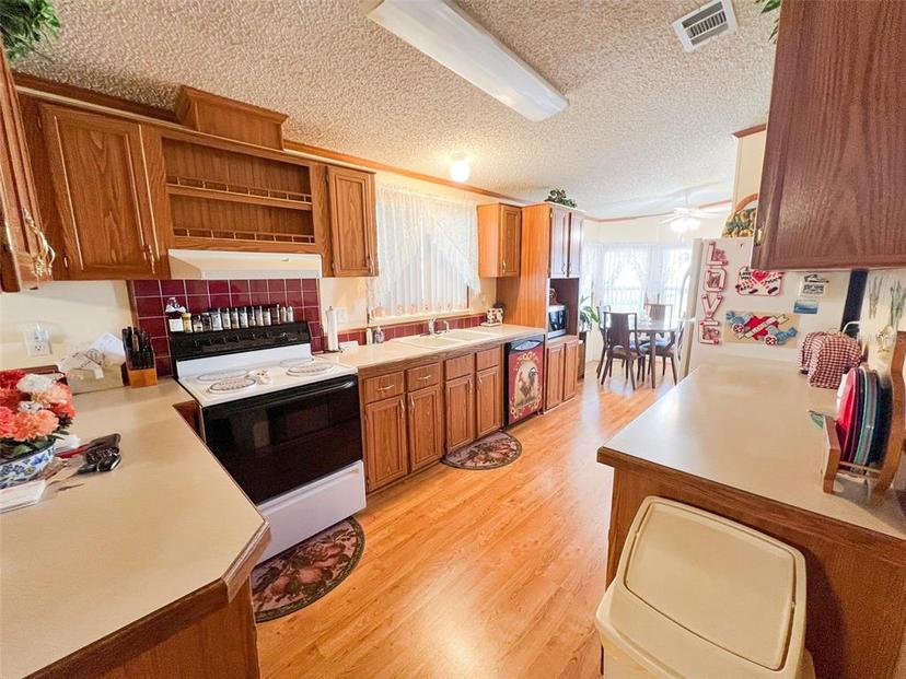 Picture of 3020 Moss Hill Street, Wesley Chapel FL 33543