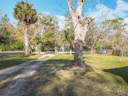 Picture of 411 NE 10Th Street, Gainesville, FL 32601