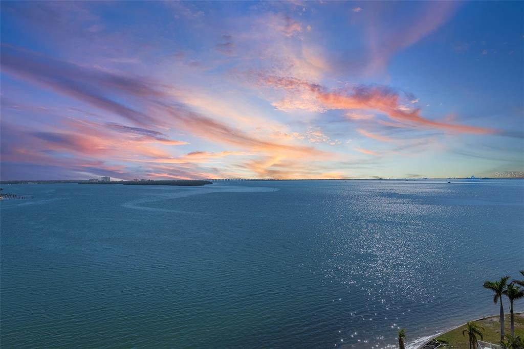 Picture of 6322 Palma Del Mar Boulevard S Unit 1001, St Petersburg, FL 33715
