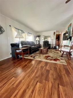 Picture of 218 Red Maple Drive, Palm Harbor, FL 34684