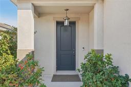 Picture of 10710 Southern Forest Drive, Riverview, FL 33578