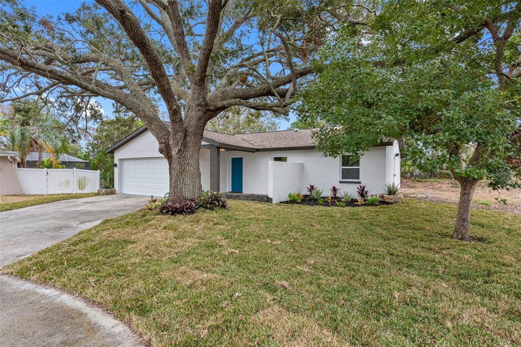 Picture of 1399 Grapeleaf Court, Tarpon Springs, FL 34689