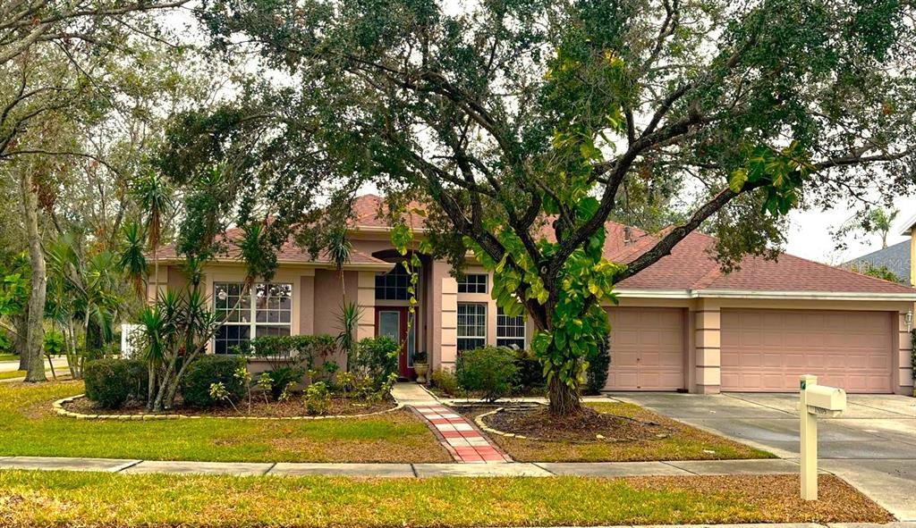 Picture of 18108 Sugar Brooke Drive, Tampa, FL 33647
