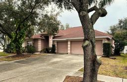 Picture of 18108 Sugar Brooke Drive, Tampa, FL 33647