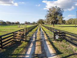 Picture of 815 SE 145Th Street, Summerfield, FL 34491