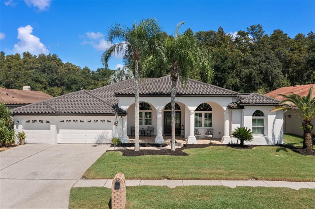Picture of 1257 Kings Way Lane, Tarpon Springs, FL 34688
